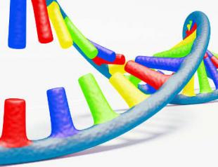 Фрагментация ДНК спермограммы: описание анализа и его расшифровка